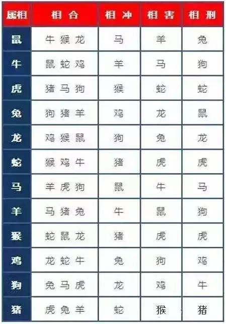 12生肖中什么人最冲你? 哪些与你最合?|生肖|夫妻|属相_新浪新闻
