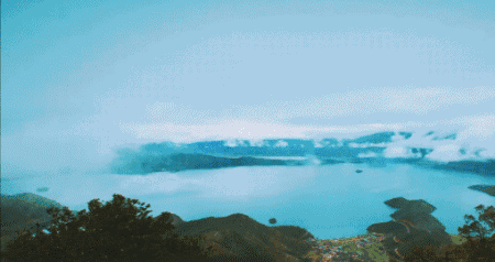 而是自带一种淡雅脱俗的明丽和风高云淡的惬意一切都美得恰到好处