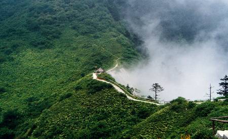西岭阴阳界【旅游攻略】四川,真心值得一去再去!