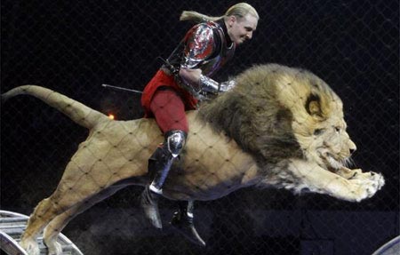 狮子坐骑,骑着百兽之王,完成各种高难度动作.