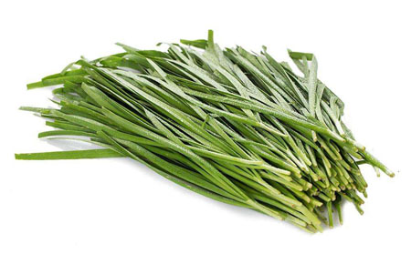 春季最好的养阳蔬菜,新鲜安全应当这样挑选|韭菜|根部|保鲜袋_新浪网