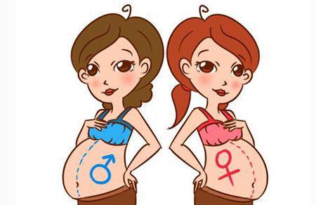 最后,看吃相看男女.一般在怀孕期间,不挑食,容易有饥饿感的.