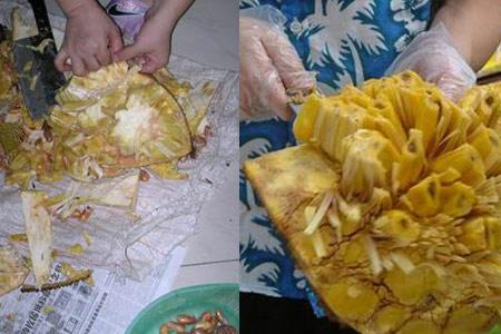 菠萝蜜怎么剥 新浪(移动端)