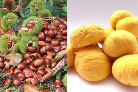 中草药板粟的功效和作用,这种美女们喜欢的零食药用价值也很高