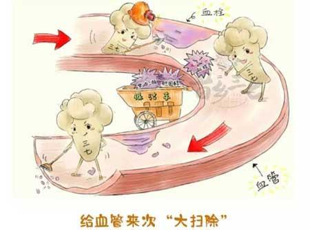 人过30岁怕血管堵, 每天一勺, 清理血液垃圾
