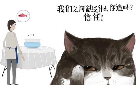 夫妻如果离心离德就该好合好散, 莫要害人害己, 这个故事值得一看