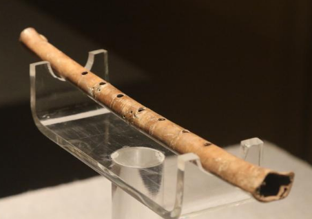 仙鹤翅膀骨头制成的笛子,改写了世界音乐史|笛子|骨笛|河南_新浪新闻