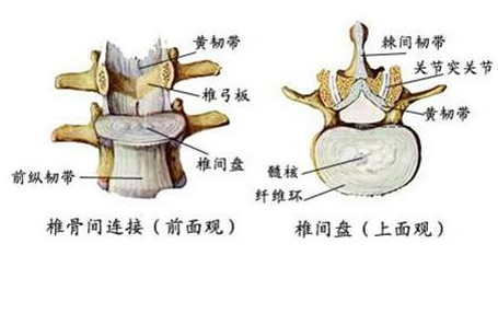 腰突可以让你根治,你还在被骗去医院吗?别傻了,很简单治疗!