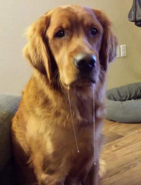 我这功力还是不行啊,才半个小时!能让她少骗一个人了吧?