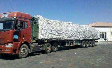 故事:开车无意撞死过路黄鼠狼,第二日家鸡一只