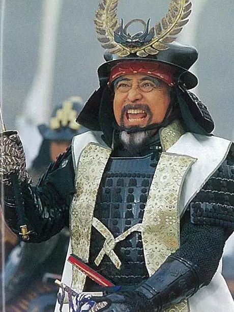 盘点国外战争电视剧之葵德川三代,网友:强悍的大河剧