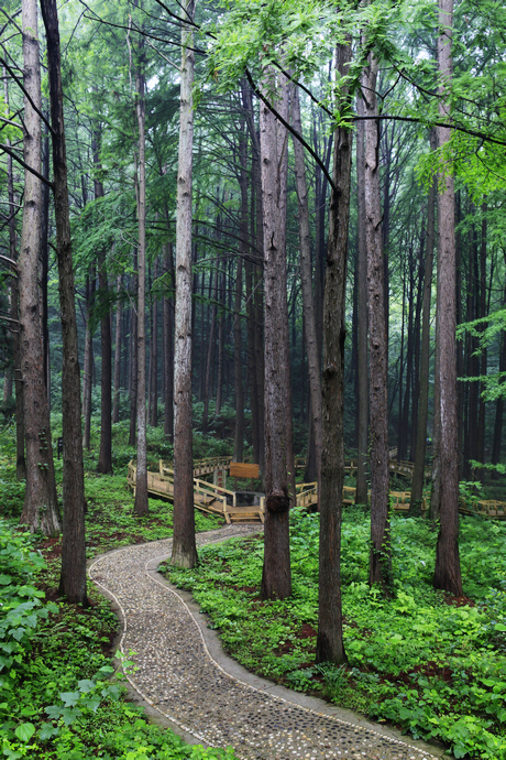 波尔登森林公园的小路,胜在植被茂密,游客不多.