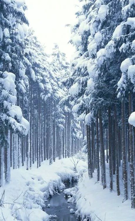 春夏秋冬四季美景