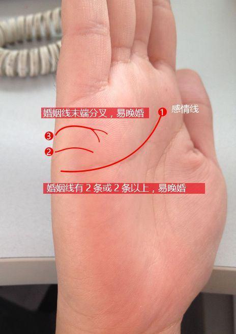 "婚姻线"的位置与结婚年龄的关系