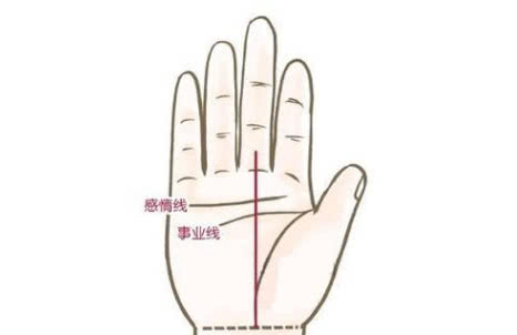 手上3条显贵线,官禄恒通,为高官,平步青云