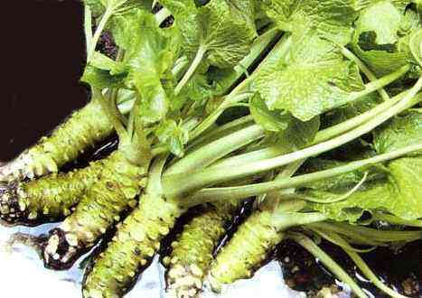 全世界最昂贵的蔬菜,却长成这样,1000元1斤!你吃过吗?