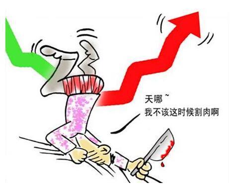 为什么说不能死扛一个股票, 该割肉一定要割肉?