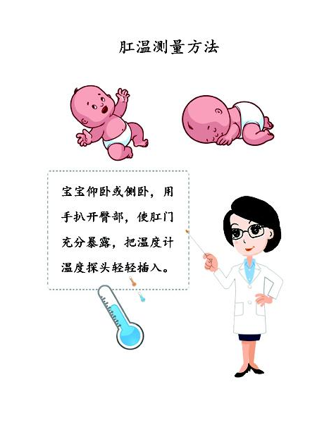 一,肛温测量方法