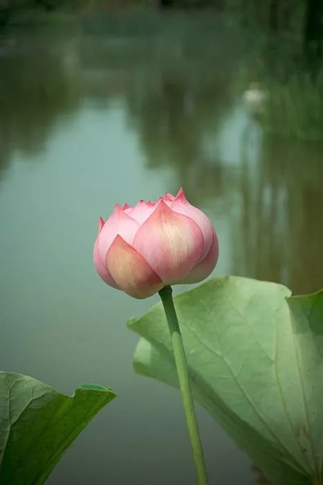 相尋夢裡路,飛雨落花中.鬥草階前初見,穿針樓上曾逢.羅裙香露玉釵風.