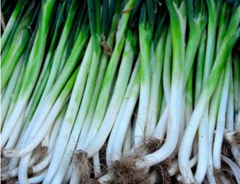 做菜喜欢放葱是好事,不仅抗癌还壮阳,但是这些人却不能吃!