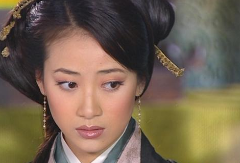 光武帝刘秀亲自为姐姐湖阳公主说媒