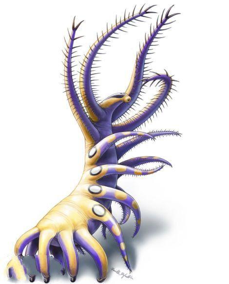 寒武纪10大最恐怖的生物,奇虾成地球霸主,恐龙是它的晚辈