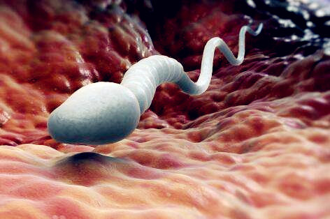 男性精子活力低是什么原因造成的你的精子合格吗