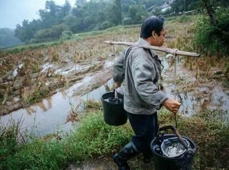 农村老话好男不吃分家饭,好女不穿嫁时衣,知