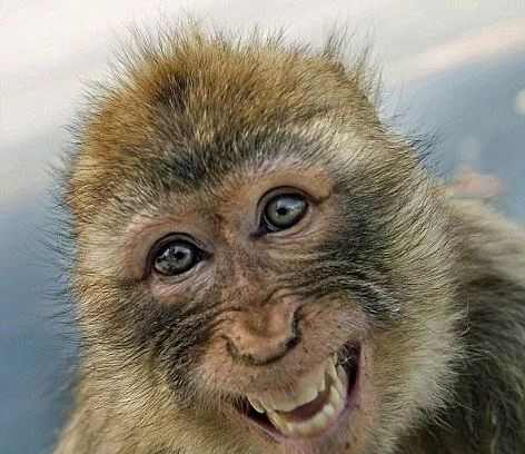 对一切充满好奇心的人,即使只是去超市逛一圈,也能露出满足的笑容.