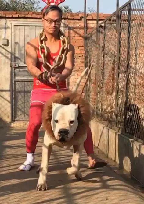 圣诞大叔骑大狗来送礼物这圣诞节宁愿不过了