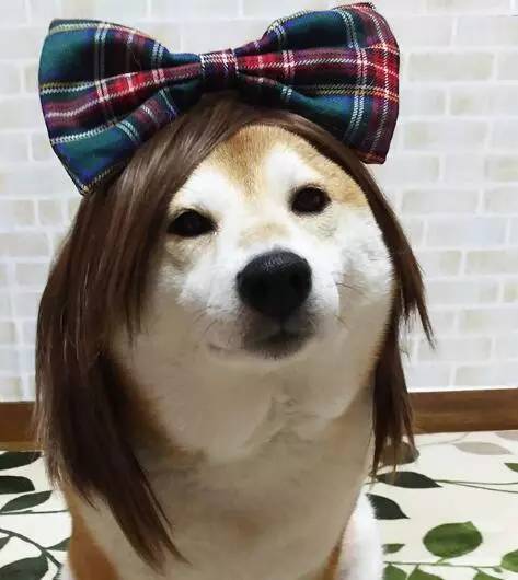 我是大脑斧,你怕不怕!今天当超人,拯救世界靠我啦!