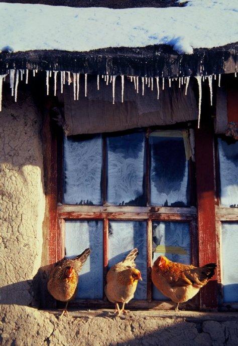 一组7080年代中国农村的幸福生活照