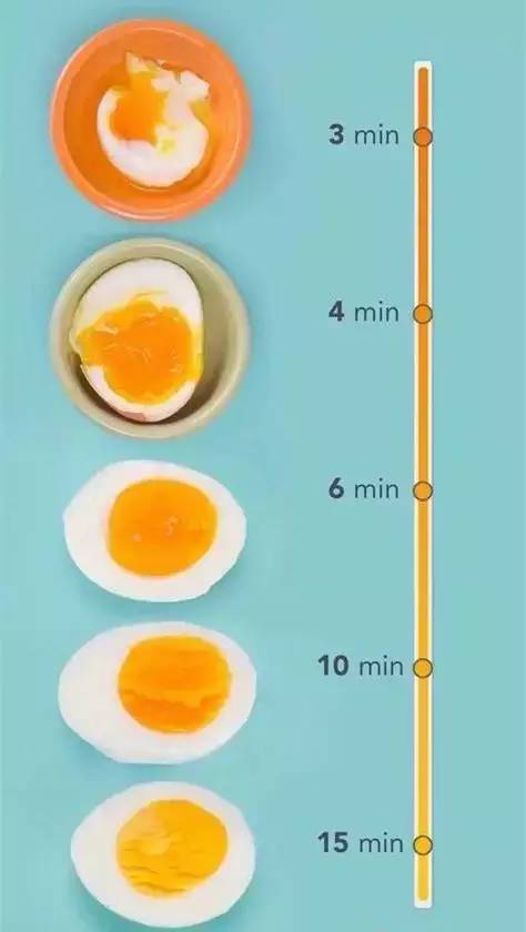 正文                       把准备好的生鸡蛋放进去   盖上锅盖煮五