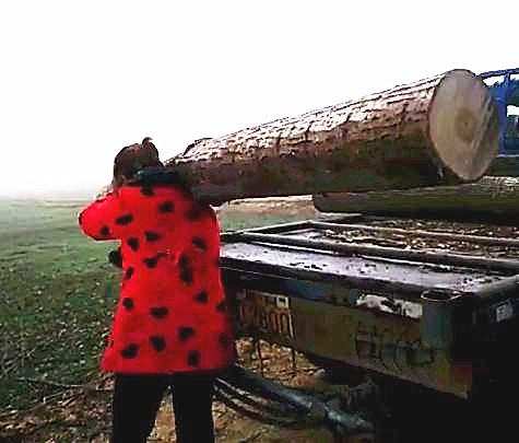 女子直接扛起100多斤重木头, 男子在旁看傻眼!