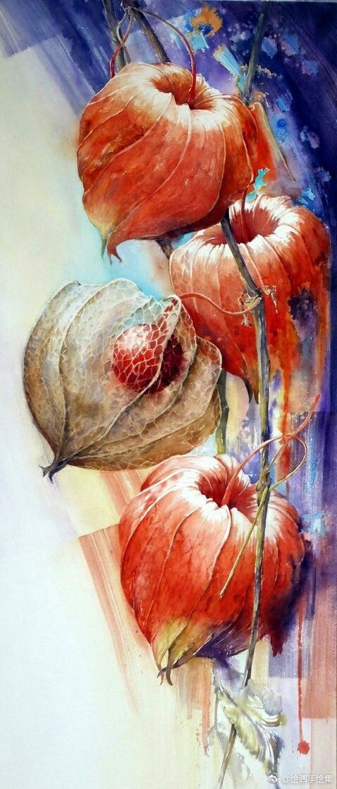 水彩画欣赏,水果,花卉