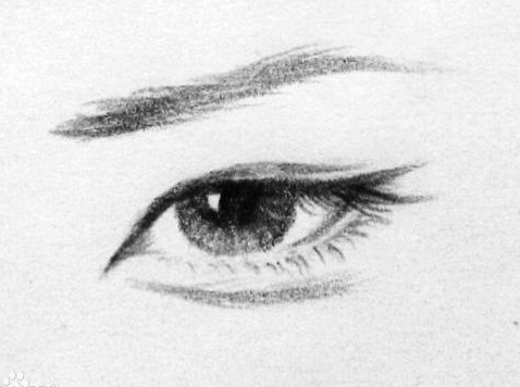 叶罗丽测试:6只手绘眼睛,哪只最像你的,测你是