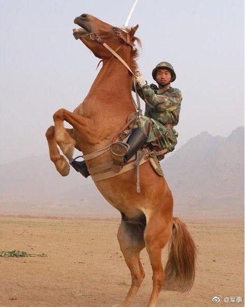 珍贵的解放军骑兵照片