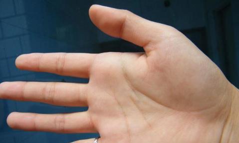 通过手相小拇指长短形状便可知今生命运是苦还是享福超级准