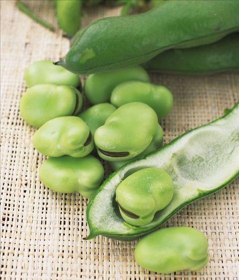 孩子不能吃12种食物的原因(孩子不能吃12种食物)