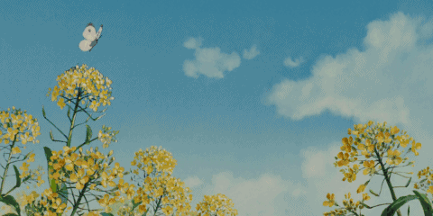 春天,重庆人都去这些地方踏春!