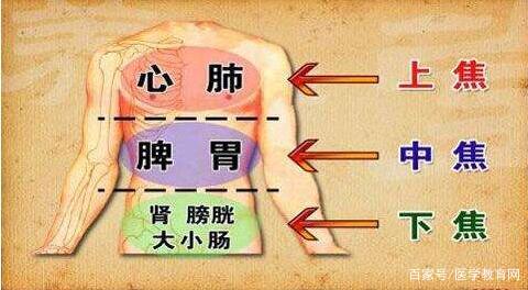 中医基础:三焦的部位及生理功能|温病条辨|下焦|部位_新浪新闻