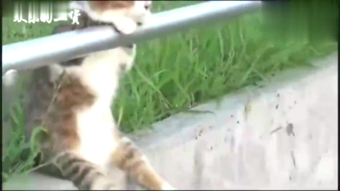 你说过两天来看我,一等就是一年多!