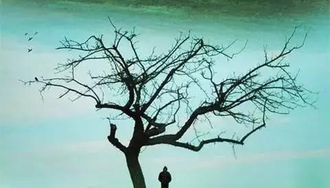 好了做完啦!眼睛晕了没~第8题是不是看得人心累?