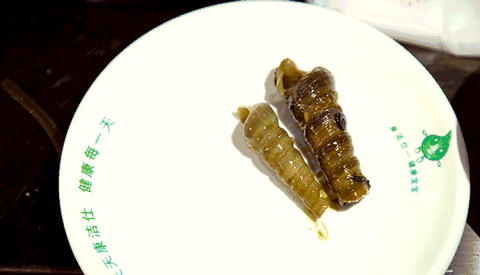 白沙|生菜包|羊蹄_新浪网