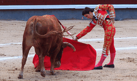 身穿红衣,手拿红布的斗牛士优雅又英武,在斗牛场上演绎有着近千年历史