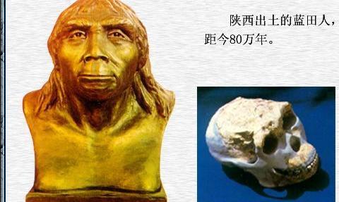 旧石器时代早期的直立人化石——蓝田人