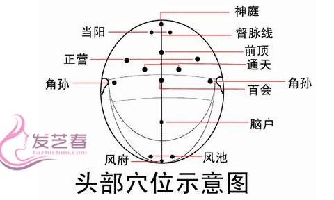 頭部穴位的按摩方法