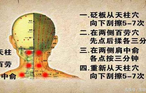 舒筋活络汤点评 舒筋养血汤组成