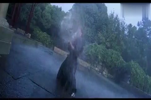 黄秋生和阿坤竟然还拍过这样的电影,谁知道电