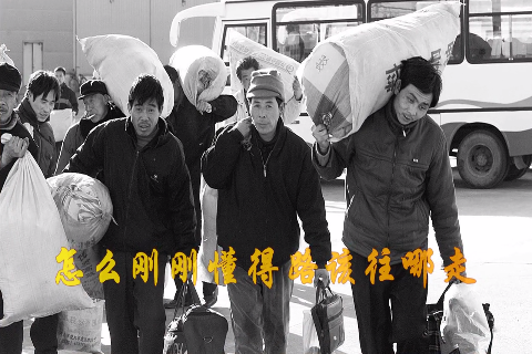 一首《一晃就老了》歌曲 送给大家 超级好听 句